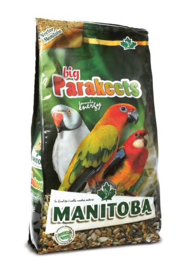 Big Parakeets Energy Manitoba 15Kg