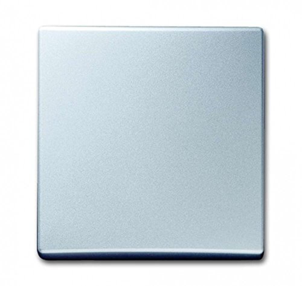 Busch-Jaeger 2106-33 Wippe, alusilber, Allwetter IP44 - NUOVO