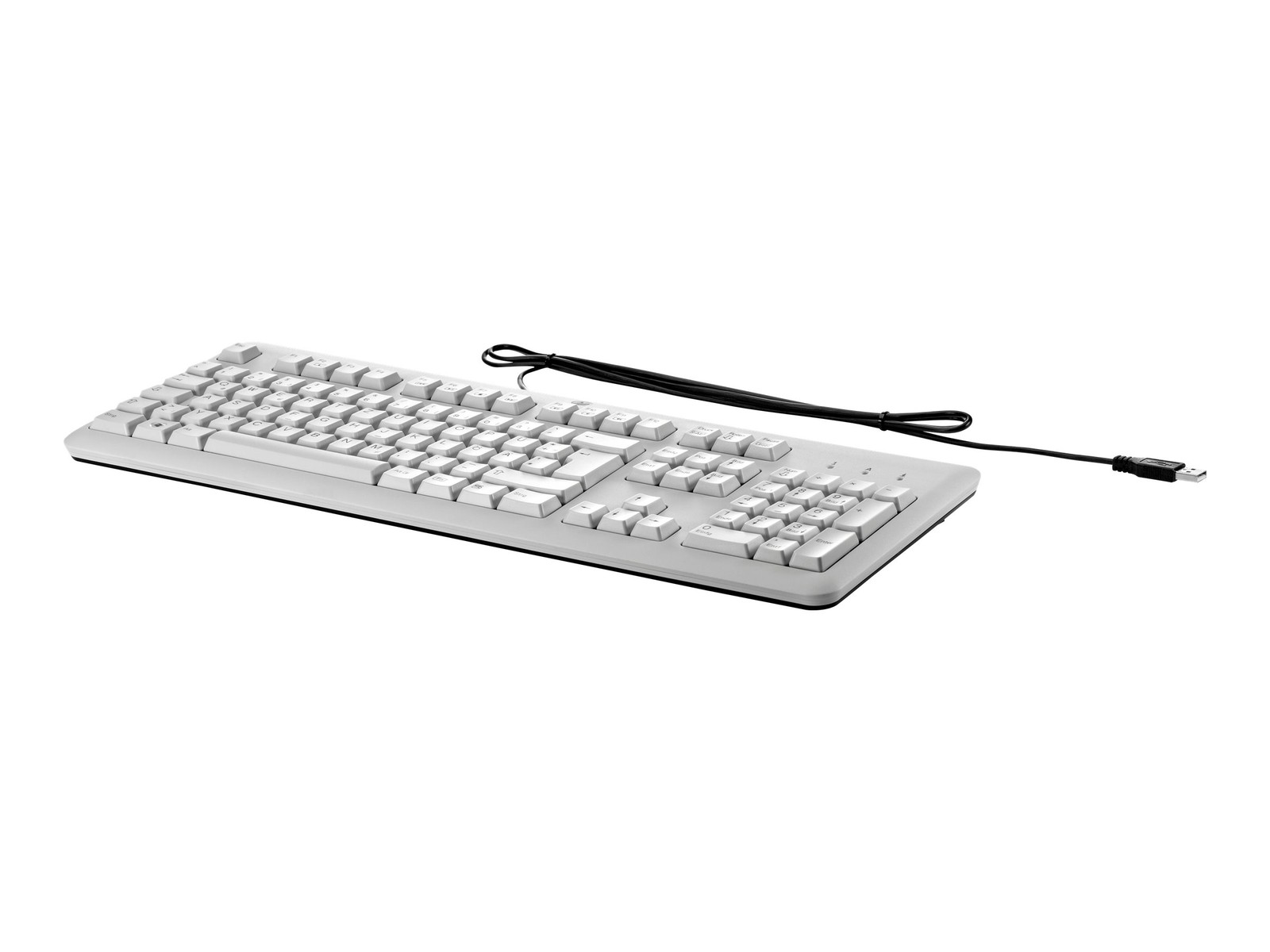 HP Tastiera USB Grey Full-size (100%) Cablato USB Grigio USB Grey B6B64AA#ABD