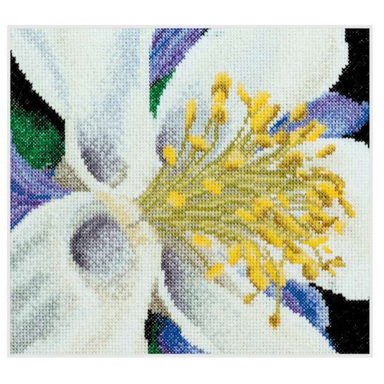 Thea gouverneur 493A Aquilegia Ricamo Punto Contato Aida