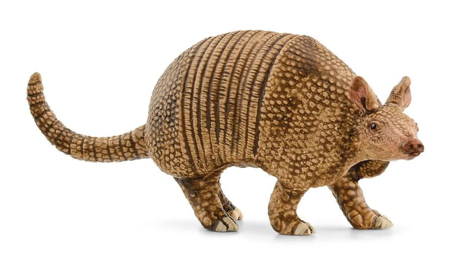 SCHLEICH - Armadillo -  - SHL14874