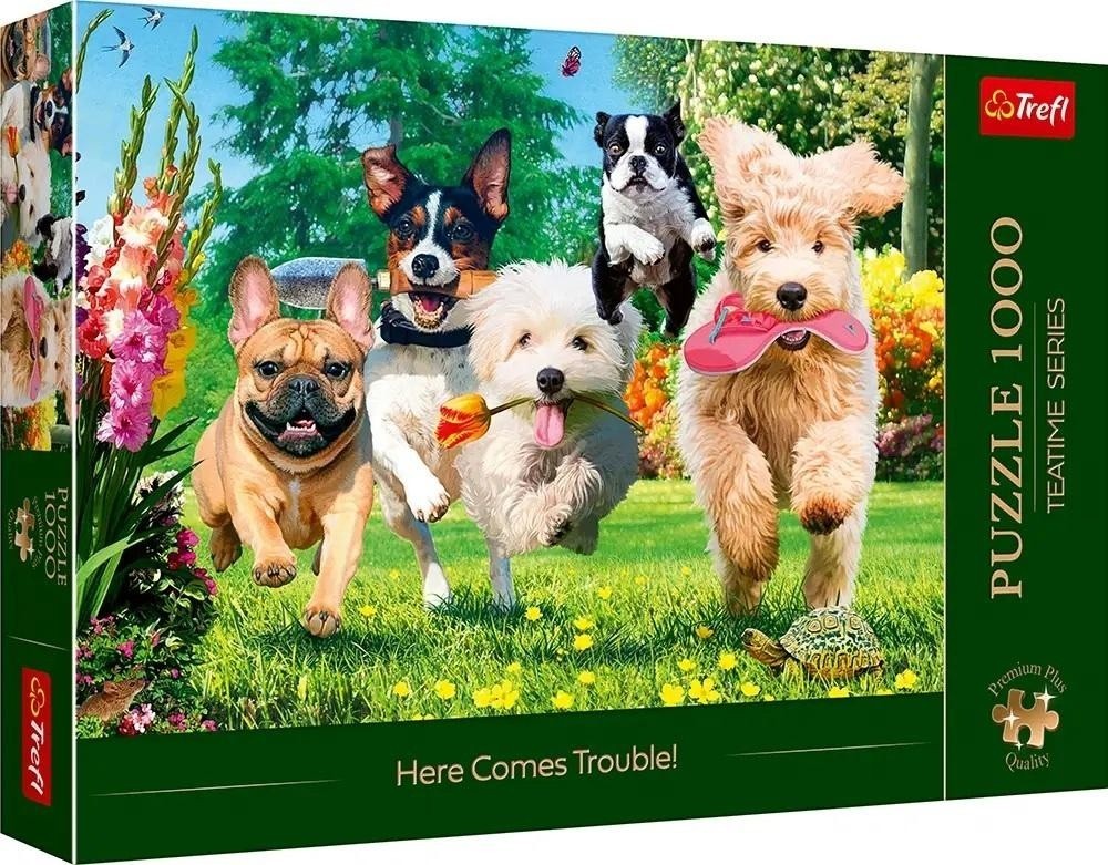 Puzzle 1000 Premium Plus guai è in arrivo 10800