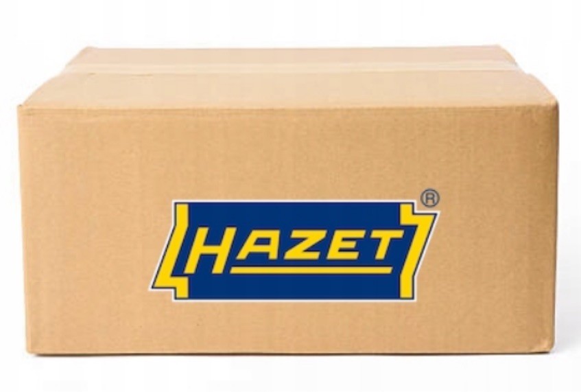Pinze speciali HAZET 1847-090/2