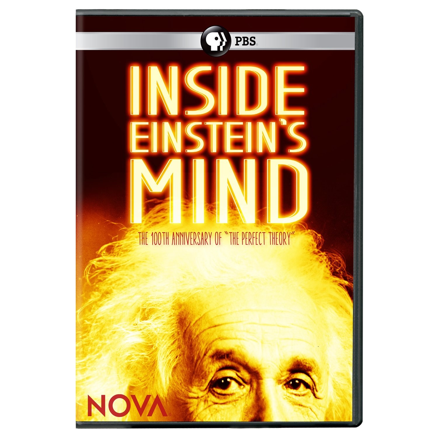 Nova: Inside Einstein's Mind (DVD)