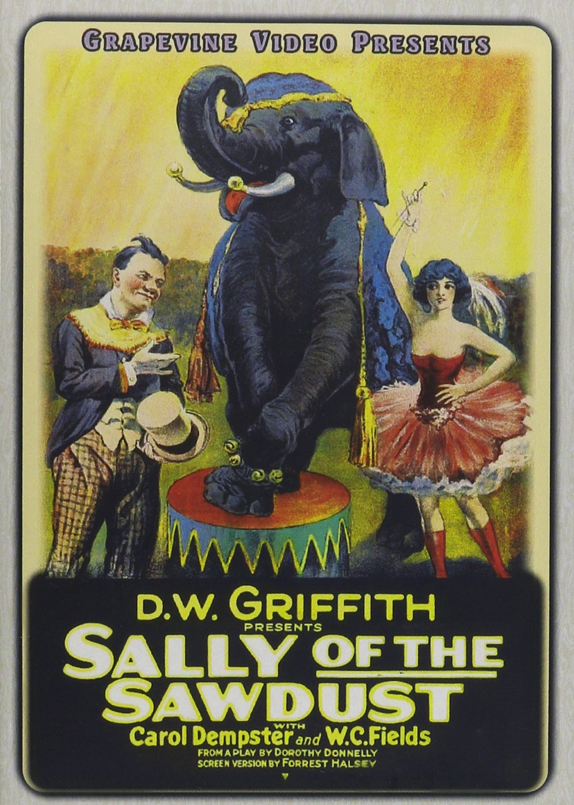 SALLY OF THE SAWDUST (1925) (DVD)