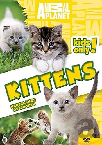 Animal planet - Kittens (DVD)