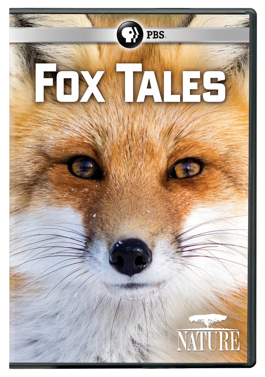 NATURE: Fox Tales DVD (DVD)