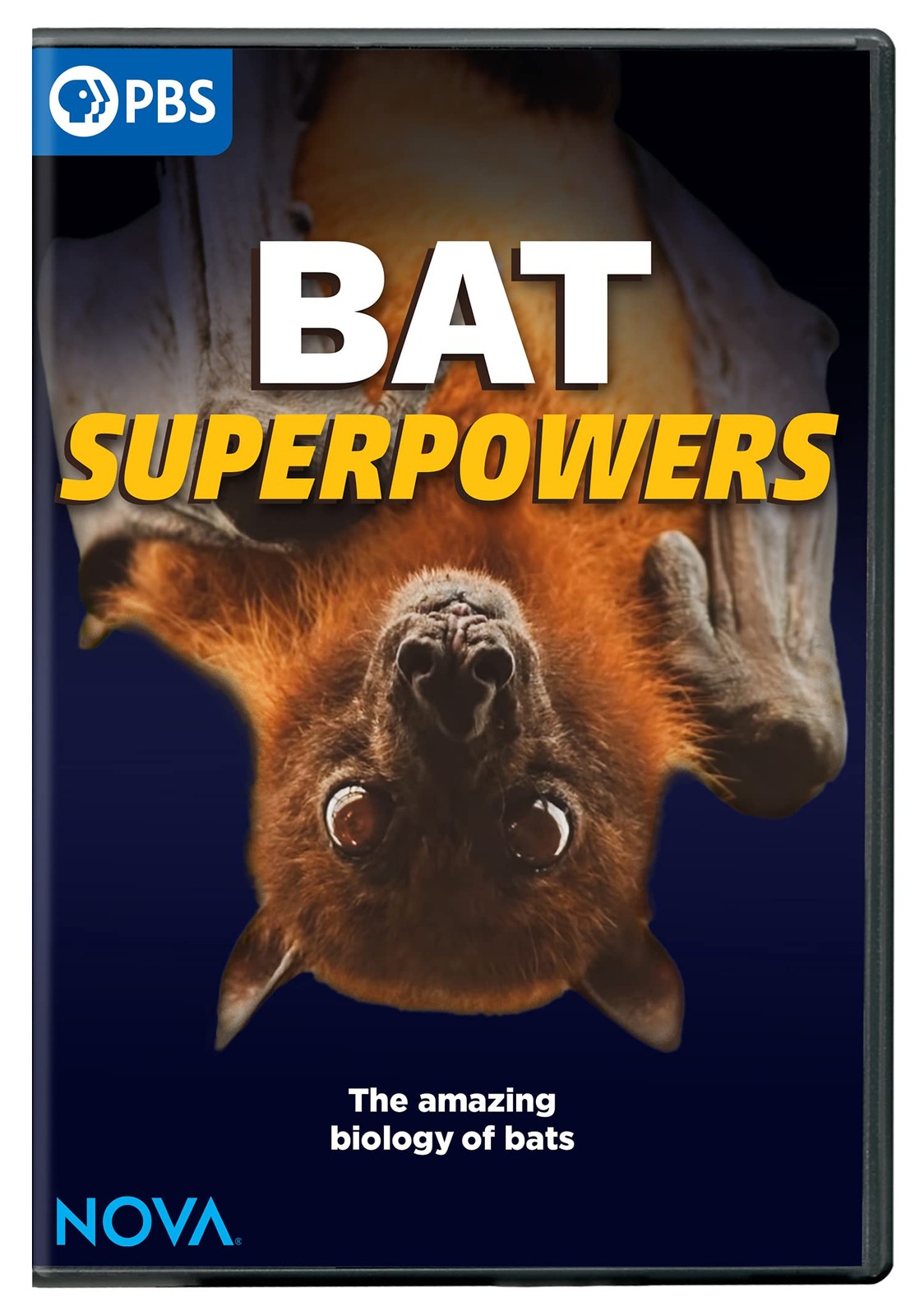 Nova: Bat Superpowers (DVD)