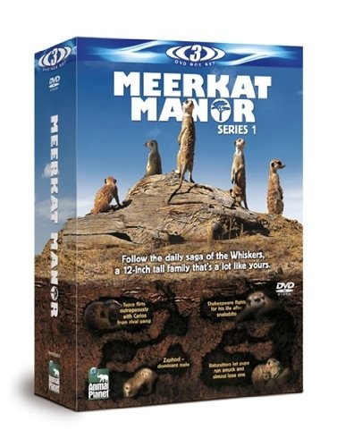 Meerkat Manor Series 1, 3 DVD Box Set (DVD)
