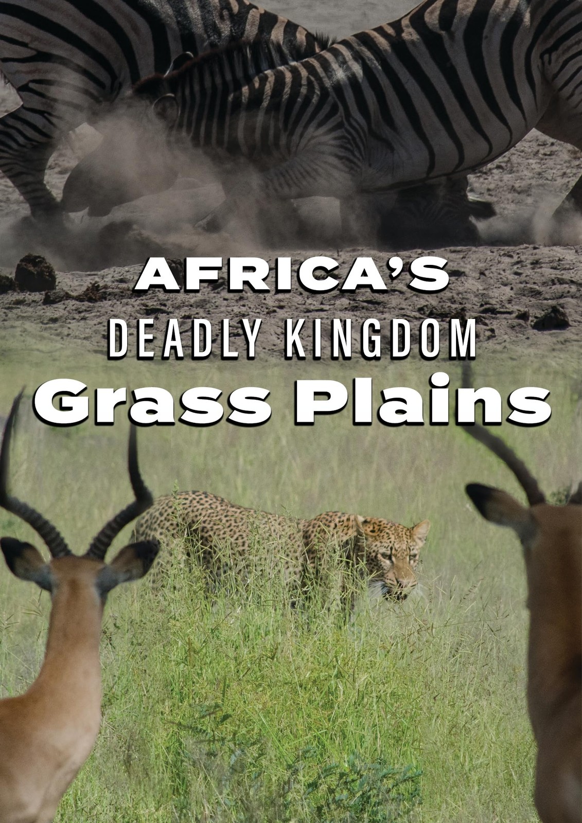 Africa's Deadly Kingdom: Grass Plains (DVD) Pal Aron Peter Lamberti