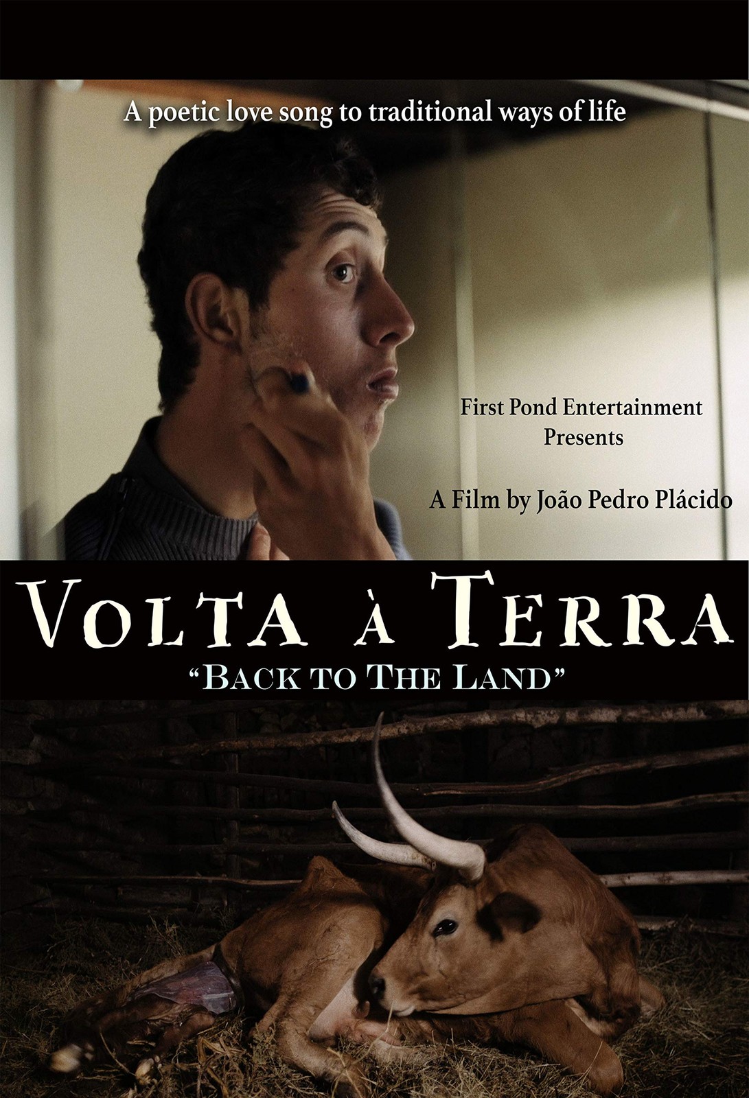Volta A Terra (DVD)