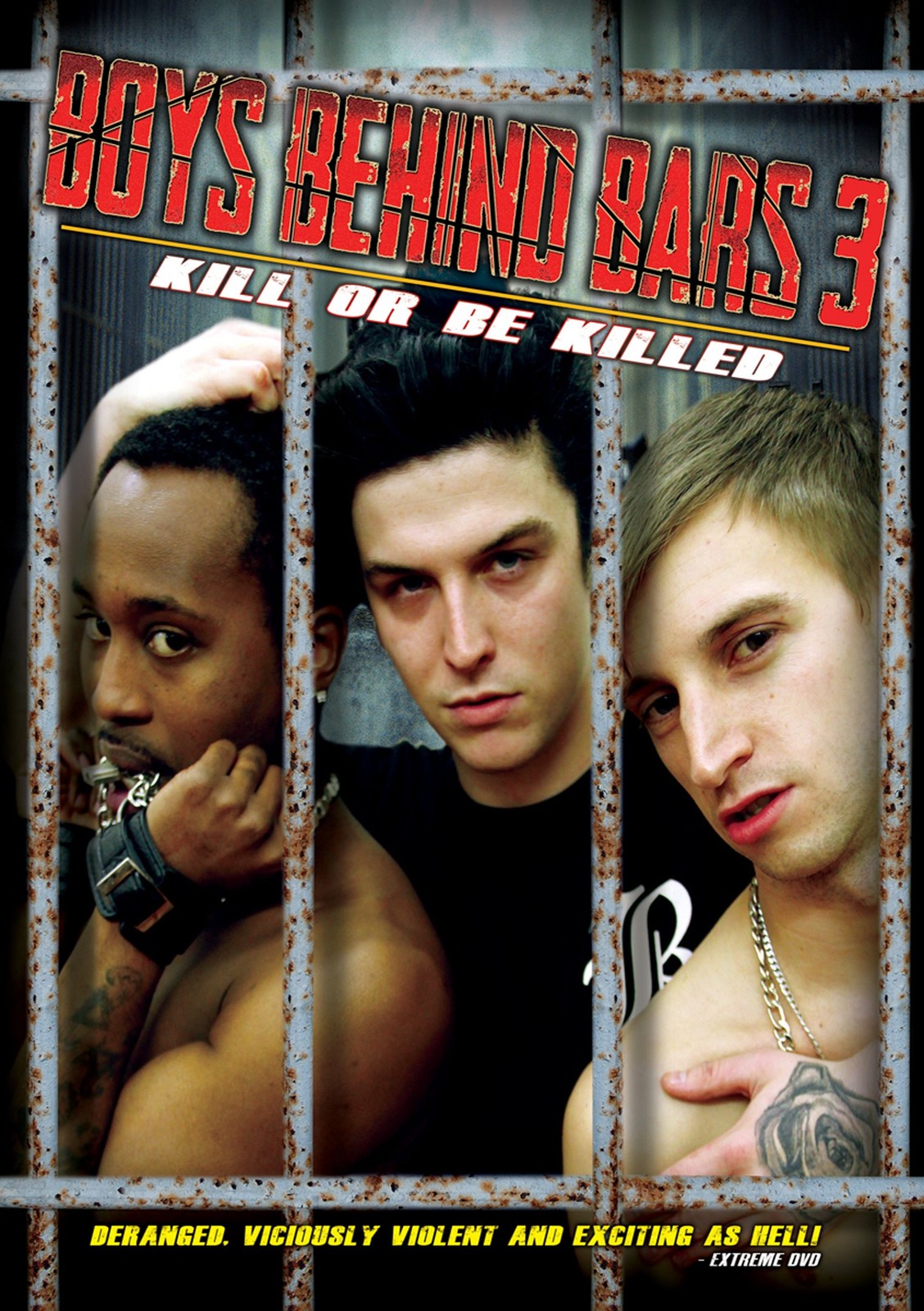 Boys Behind Bars 3 (DVD) Wade Radford Honey Bane Sky James