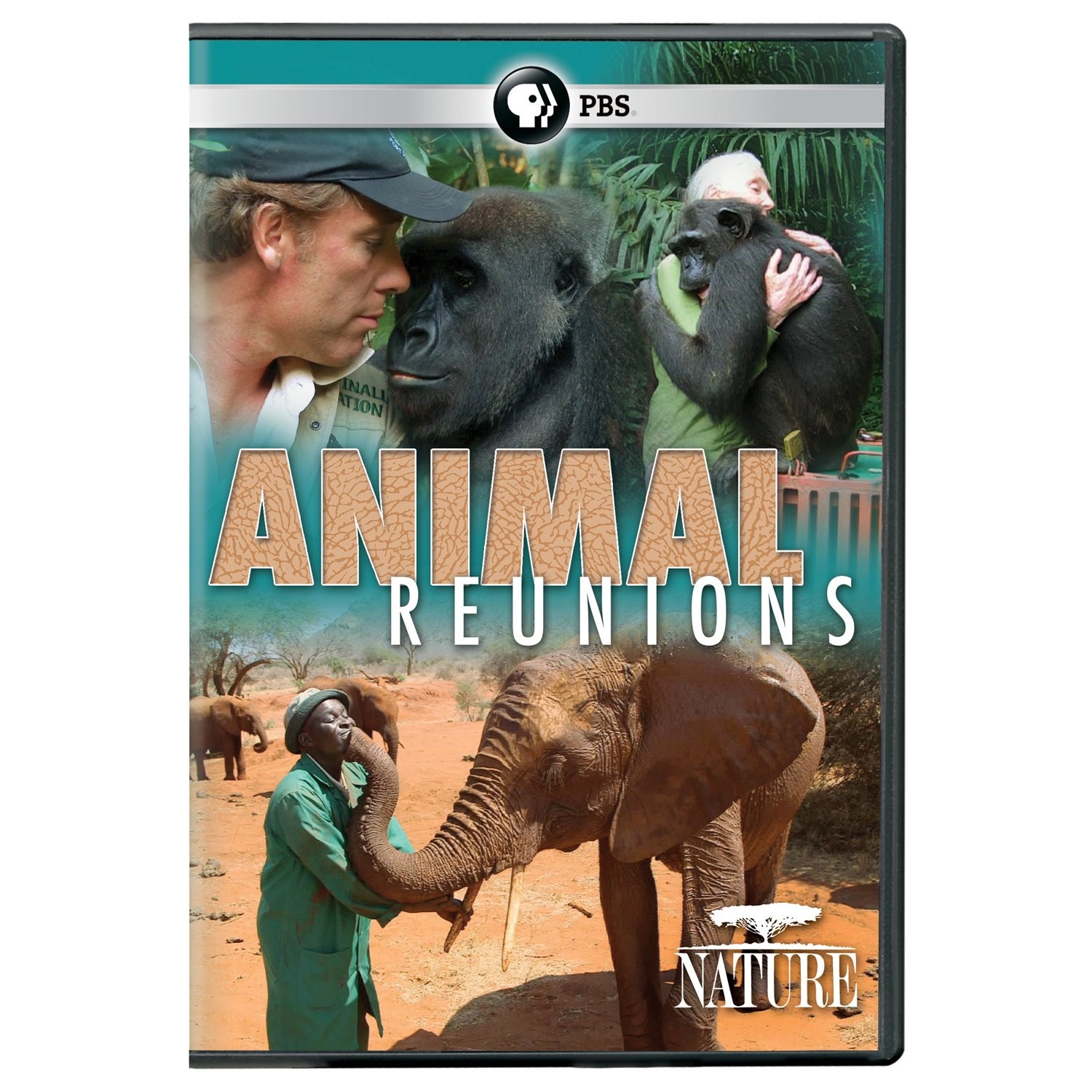 NATURE: Animal Reunions DVD (DVD)