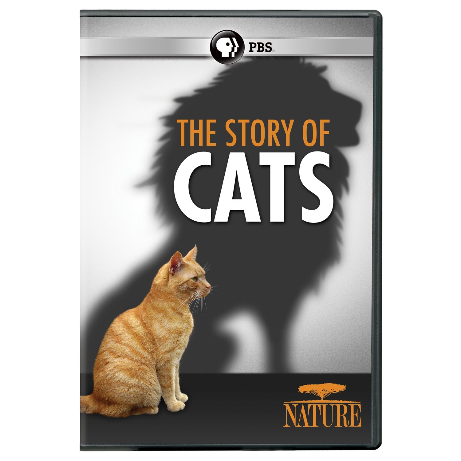 NATURE: The Story of Cats DVD (DVD)