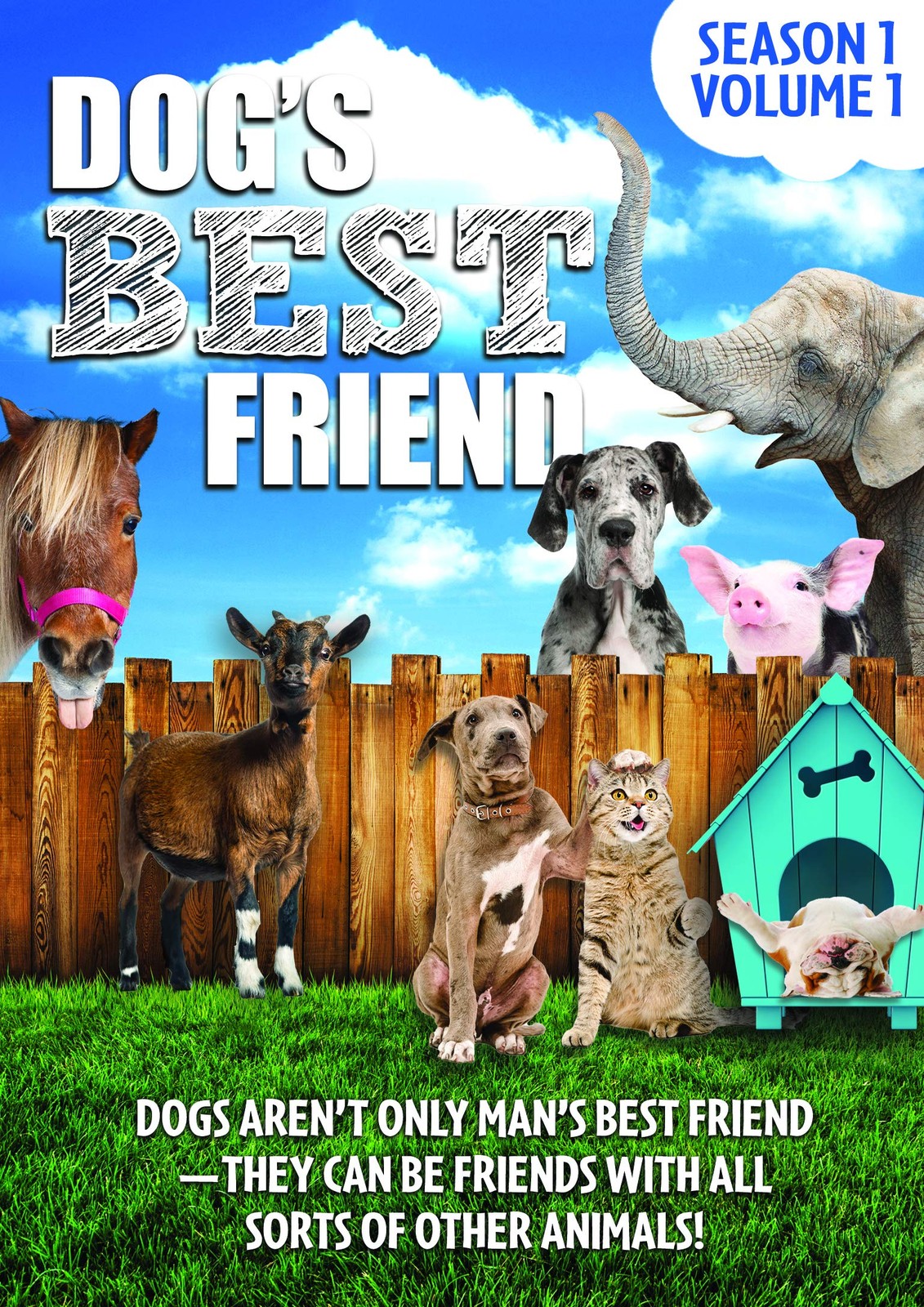 Dog's Best Friend: Season 1 Volume 1 (DVD) Sara Marino