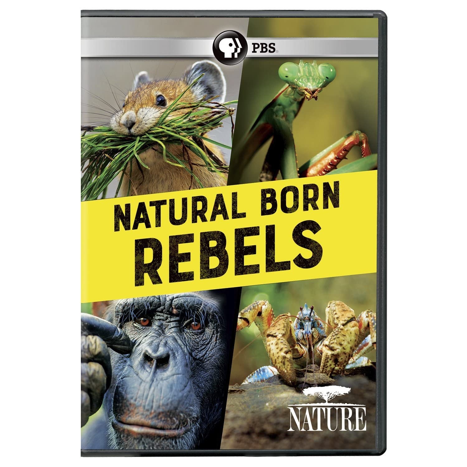 NATURE: Natural Born Rebels DVD (DVD)