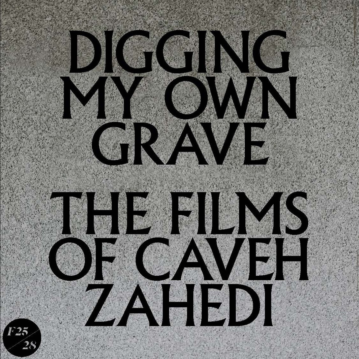 Digging My Own Grave: The Films Of Caveh Zahedi DVD/Book/7 Inch (Non-retur (DVD)