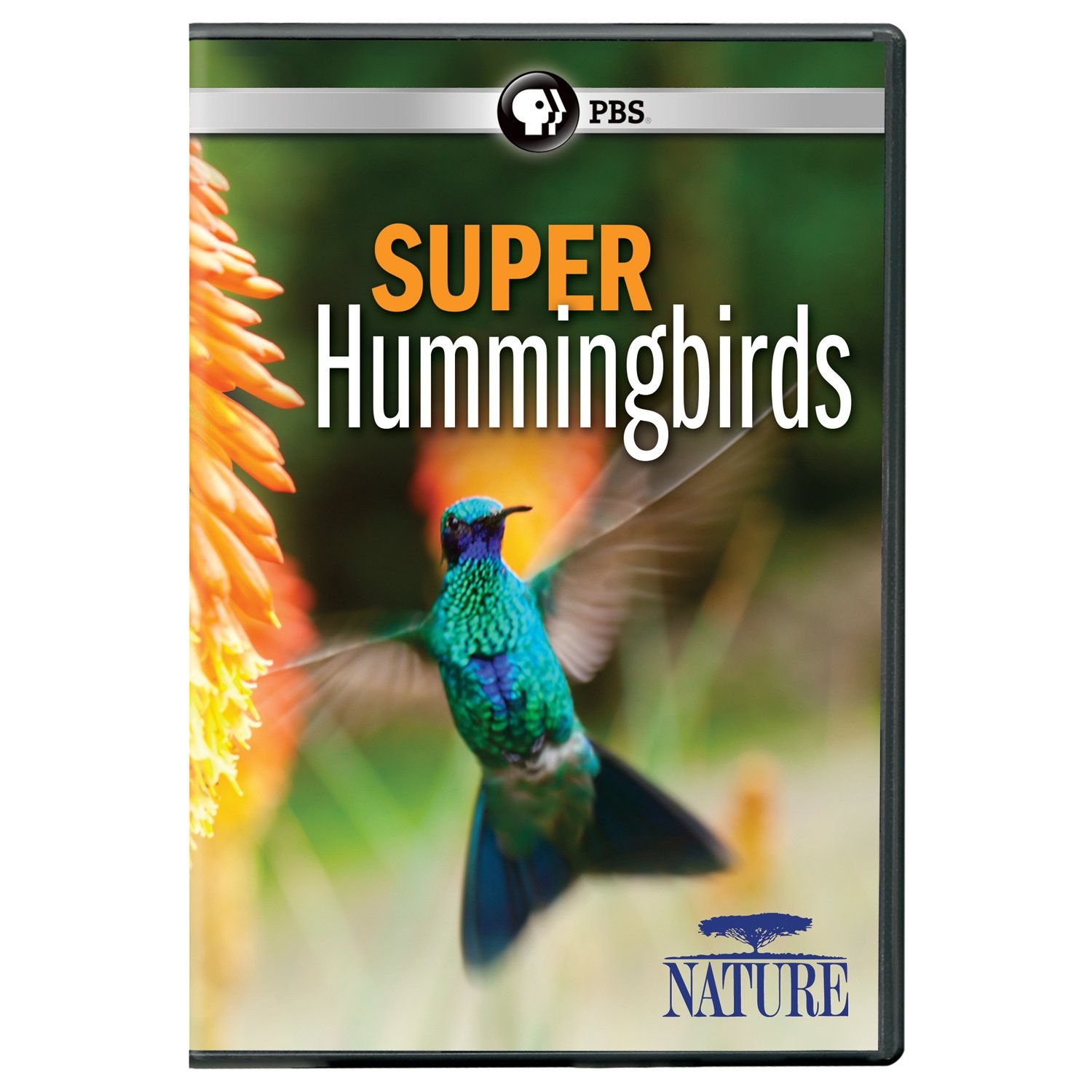 NATURE: Super Hummingbirds DVD (DVD)