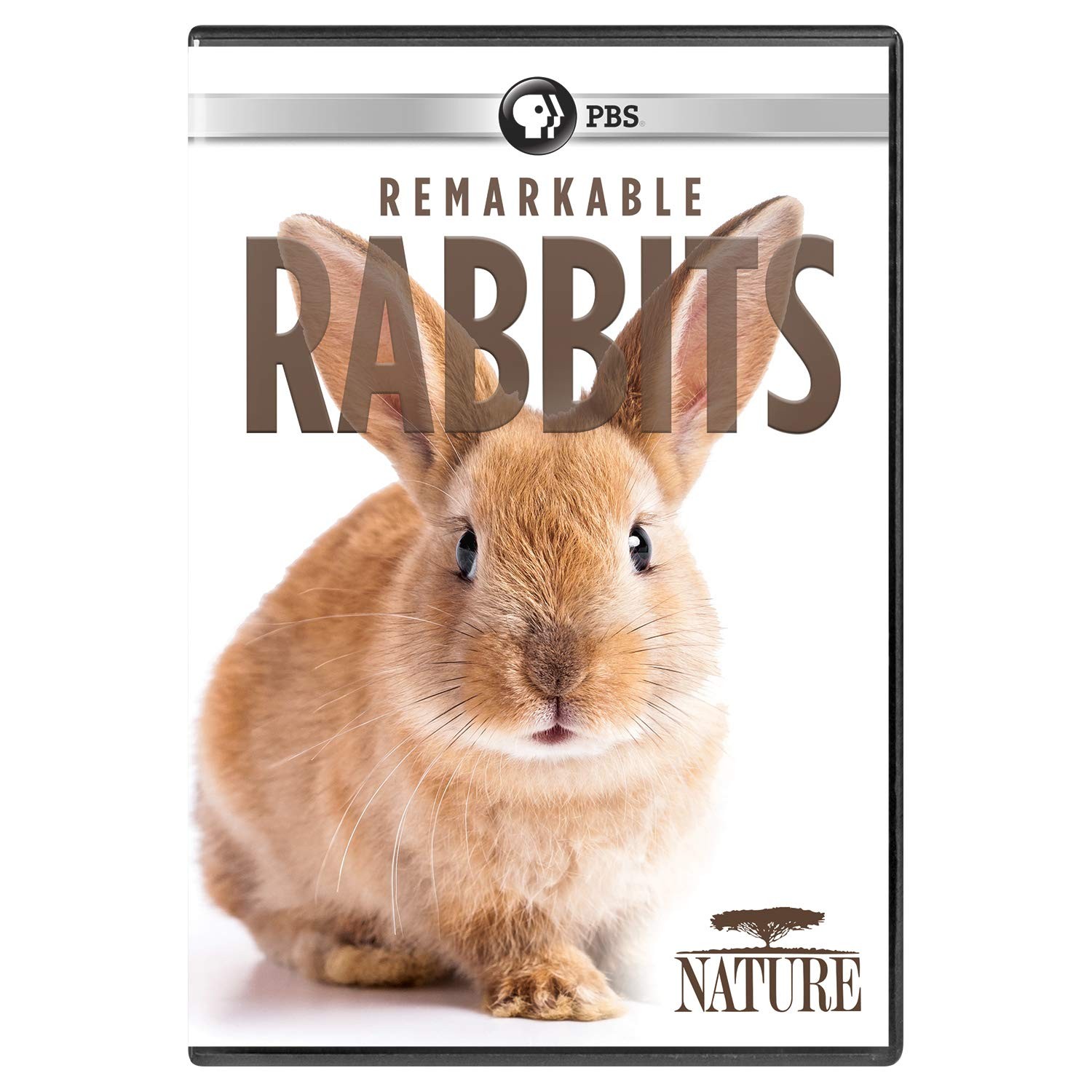 NATURE: Remarkable Rabbits (DVD)