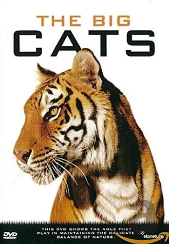 The big cats (DVD) -