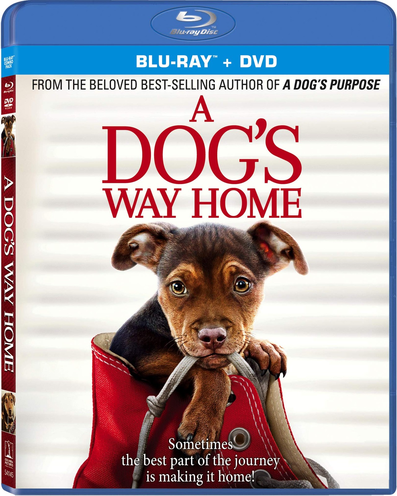 A Dog's Way Home (Blu-ray) Ashley Judd Jonah Hauer-King Edward Olmos Chris Bauer
