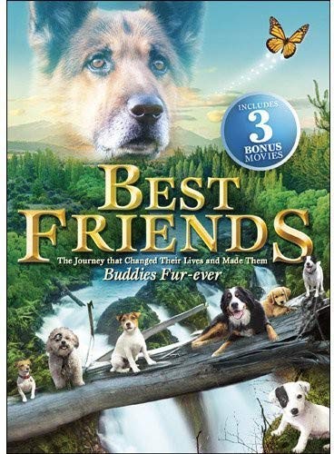 FOSTER & ALLEN BEST FRIENDS (DVD)