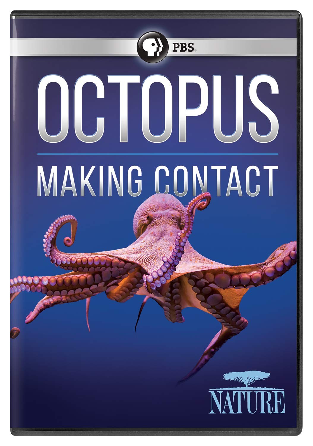 NATURE: Octopus: Making Contact DVD (DVD)