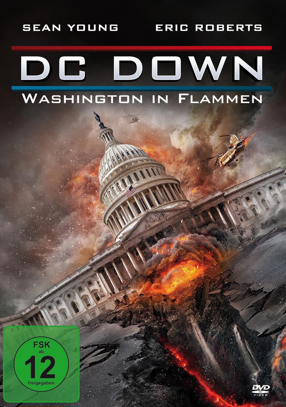 Dc Down - Washington in Flammen (DVD) Pearson Jack Young Sean Roberts Eric