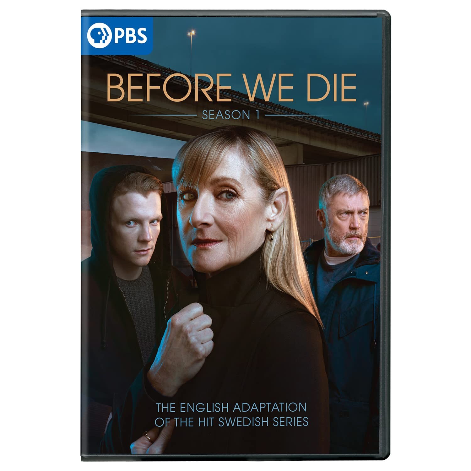 Before We Die: Season 1 (DVD) Lesley Sharp Patrick Gibson Vincent Regan