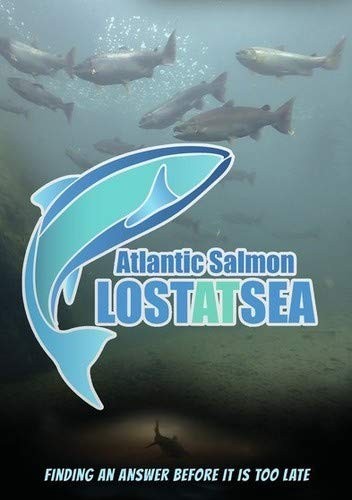 ATLANTIC SALMON - Lost at Sea (DVD) Gabriel Byrne