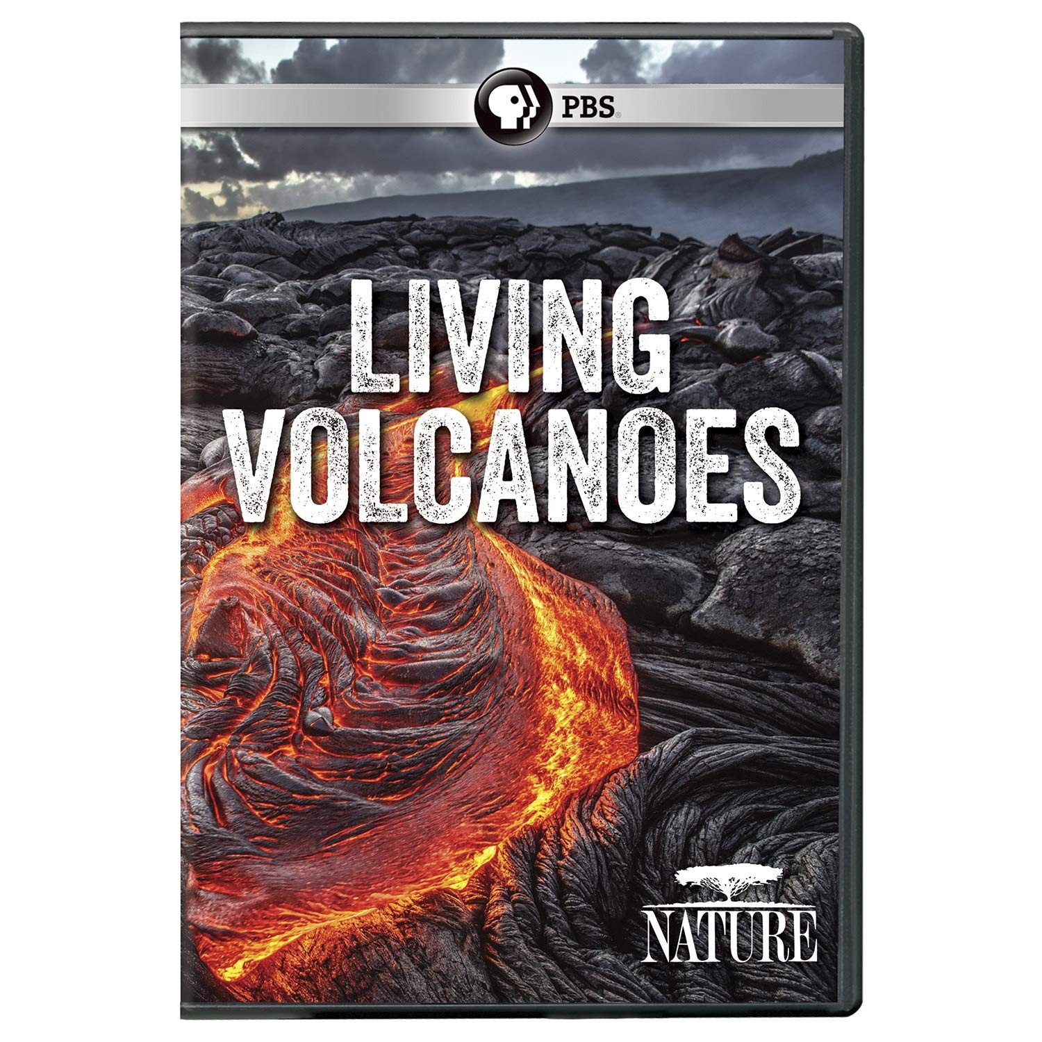 NATURE: Living Volcanoes (DVD)