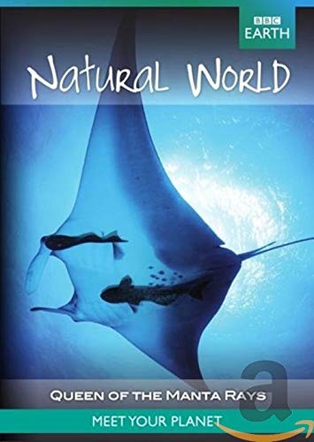 BBC earth - Natural world natural world collection queen of the manta rays (DVD)