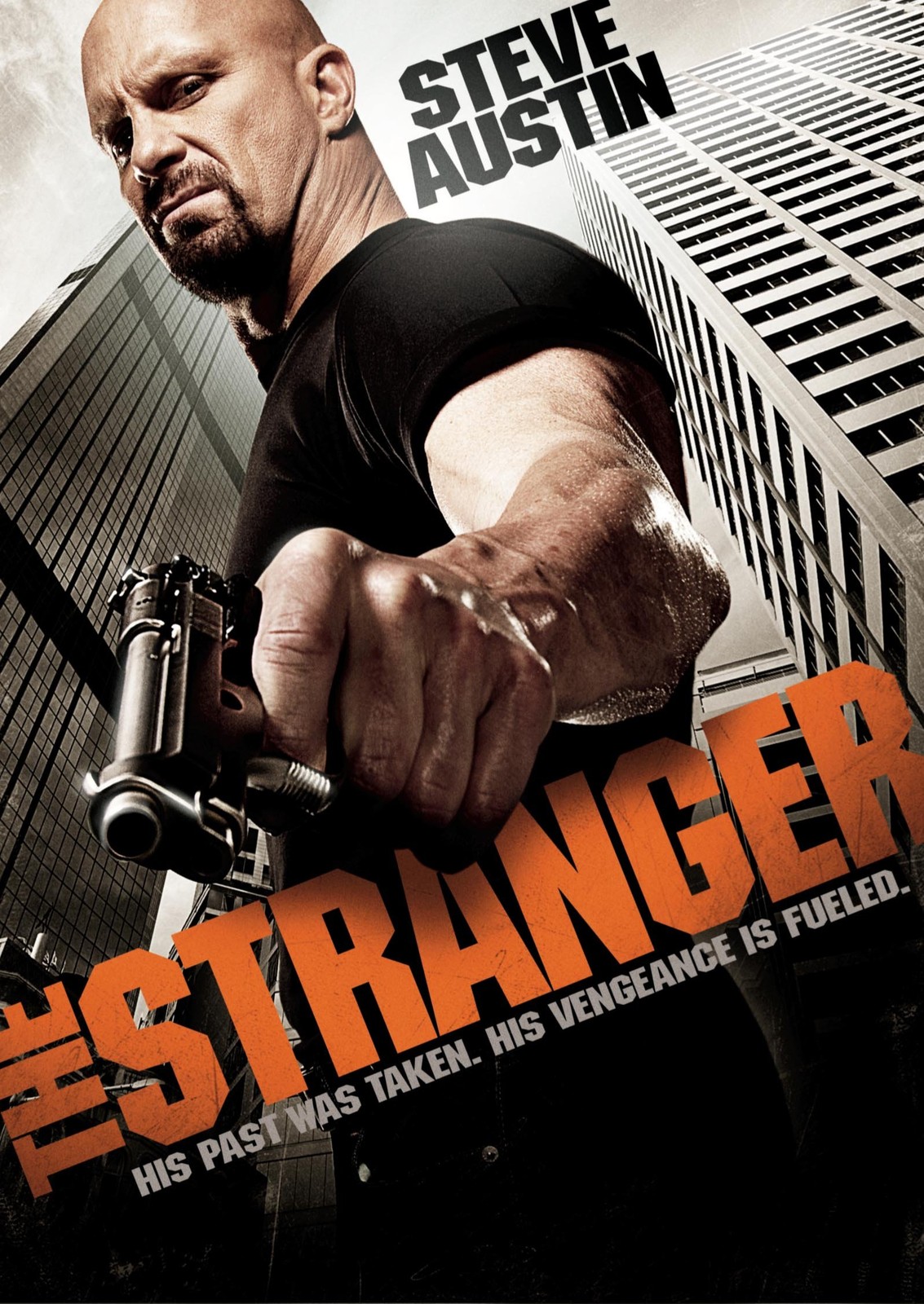 The Stranger (DVD) Steve Austin Erica Cerra Adam Beach Robert Lieberman