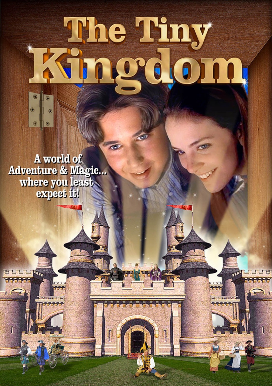 The Tiny Kingdom (DVD) Billy O Gerald O'Loughlin Constantin Barbulescu