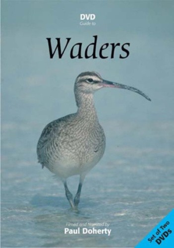 Waders [Region 2] - DVD - New