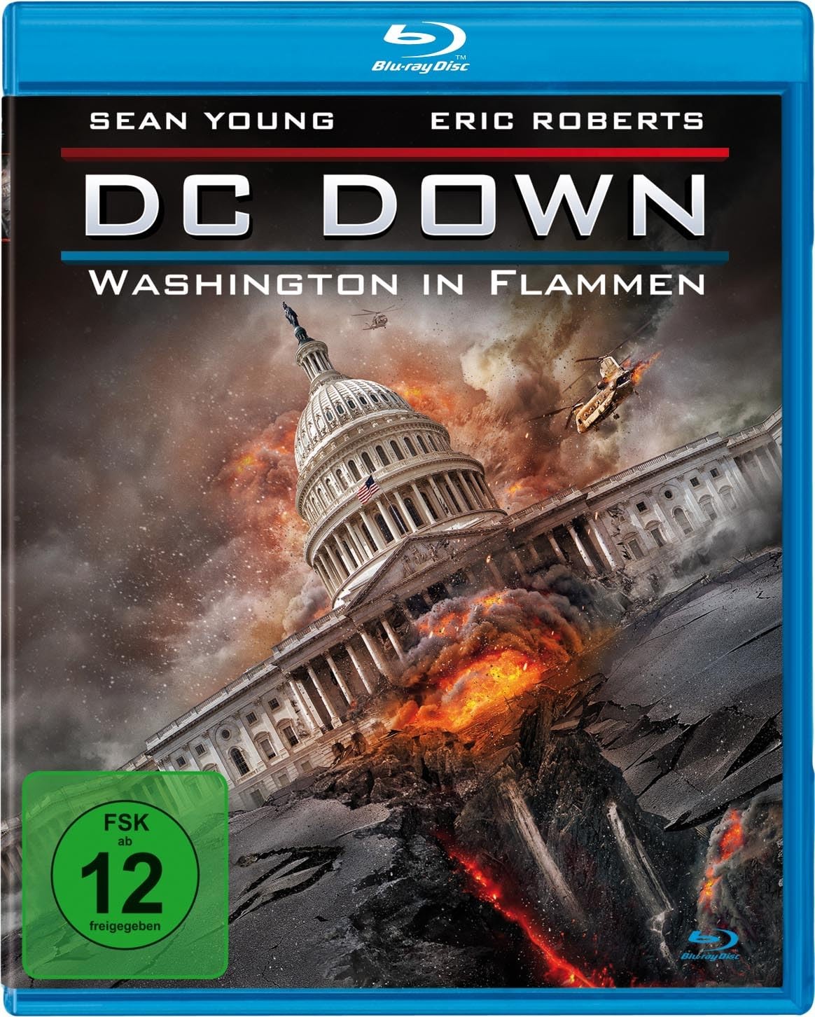 Dc Down - Washington in Flammen (Blu-ray) Pearson Jack Young Sean Roberts Eric