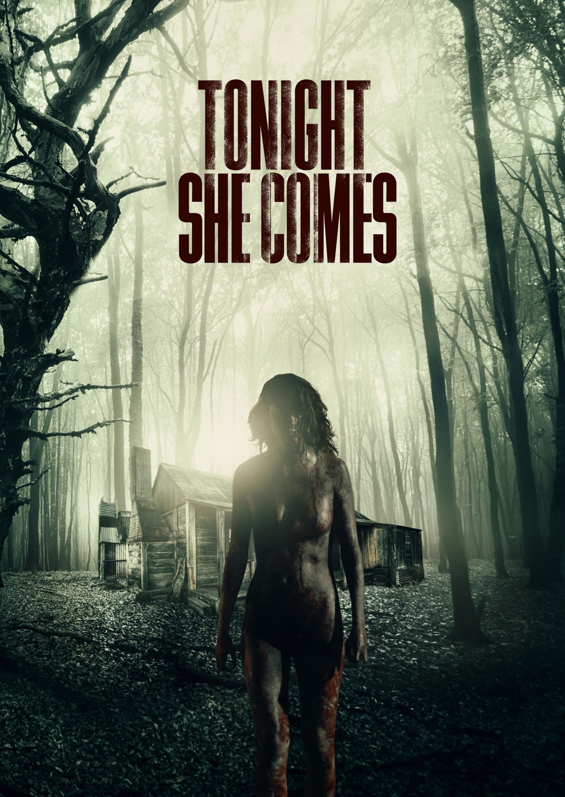 Various Tonight She Comes [Dvd] DVD NUOVO