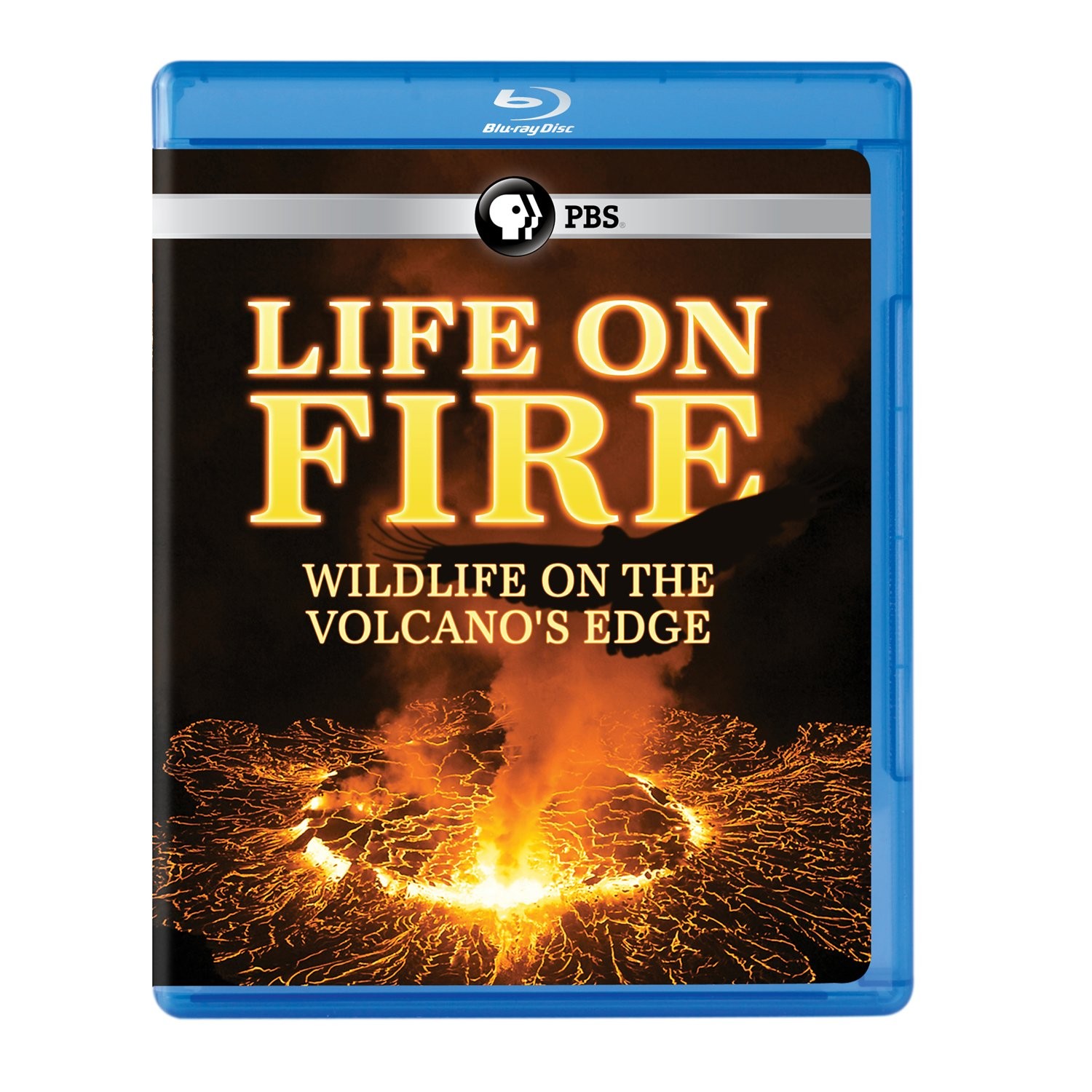 Life on Fire: Wildlife on the Volcanos Edge (Blu-ray)