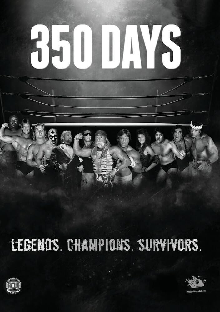 350 Days (DVD) Howard Jerome Gene Lebell Gino Caruso Fulvio Cecere
