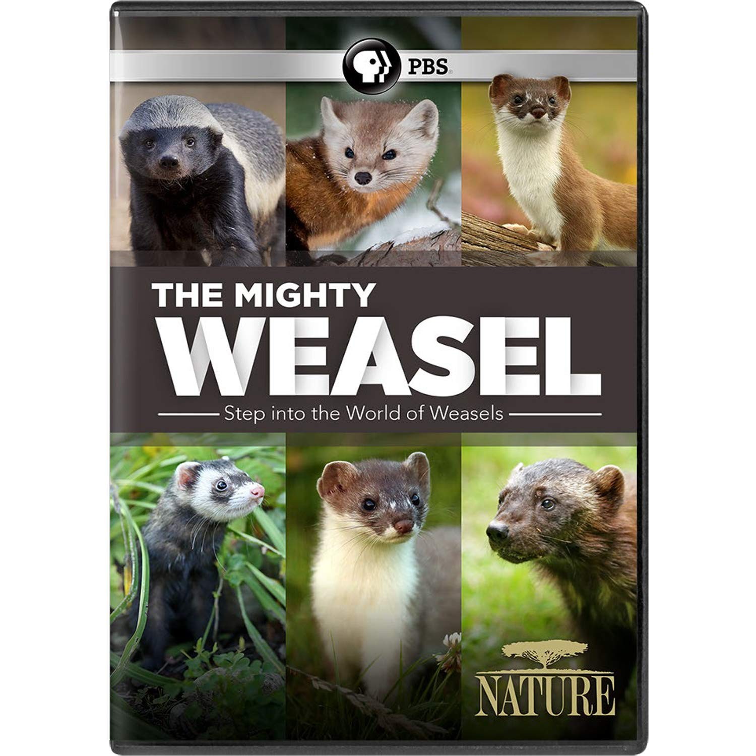 NATURE: The Mighty Weasel (DVD)