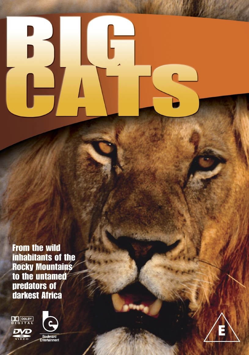 Wildlife: Big Cats (DVD)
