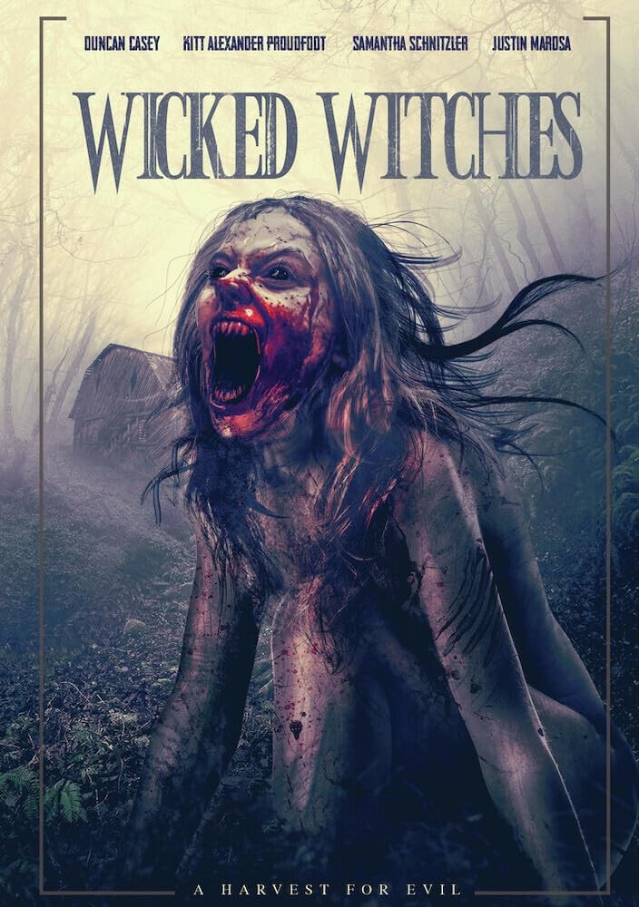 Wicked Witches (DVD)