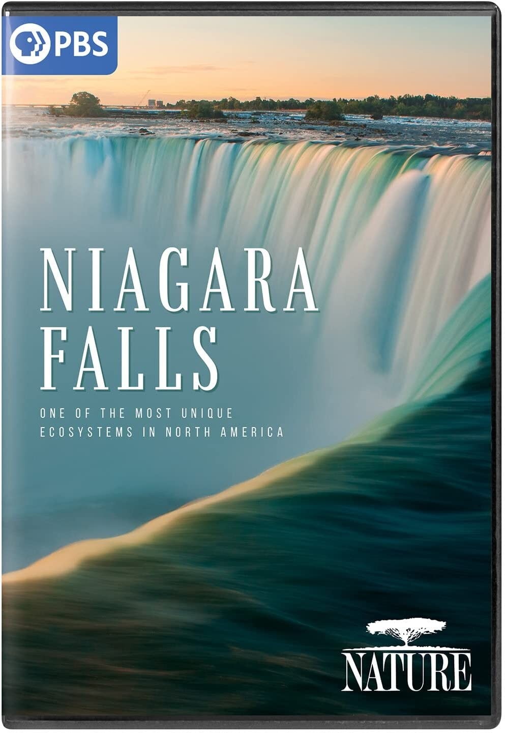 NATURE: Niagara Falls (DVD) n/a The WNET Group Pontecorvo Productions