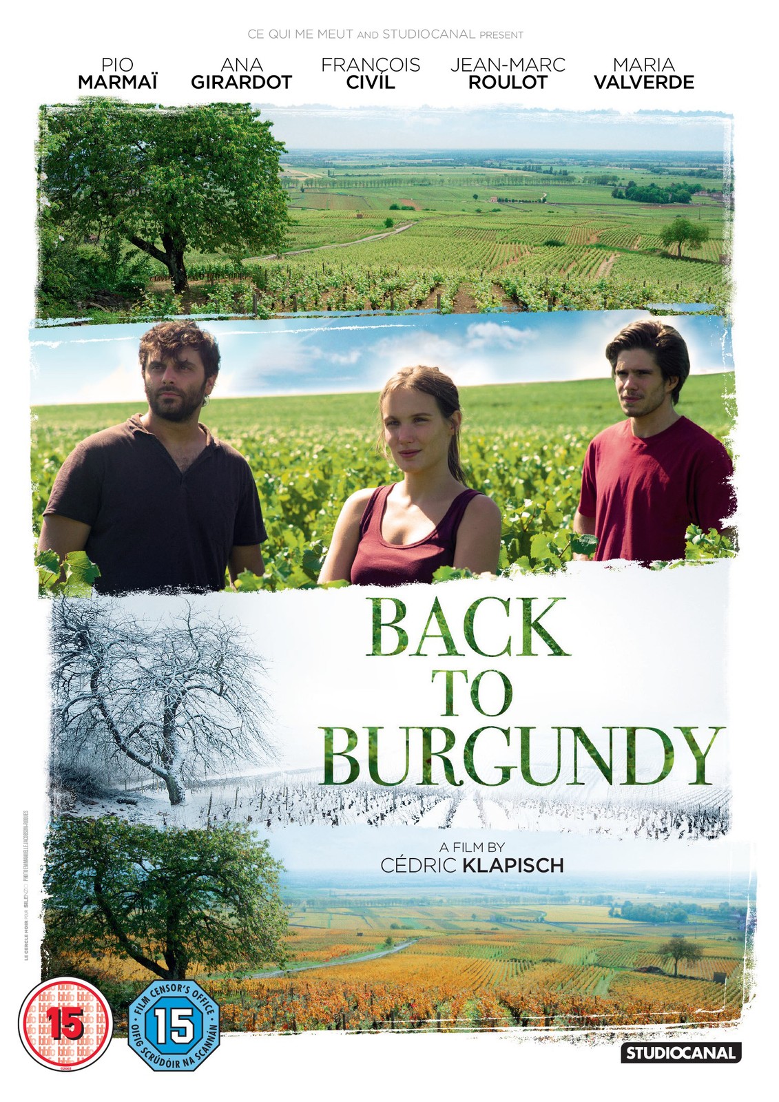 Back to Burgundy (DVD)
