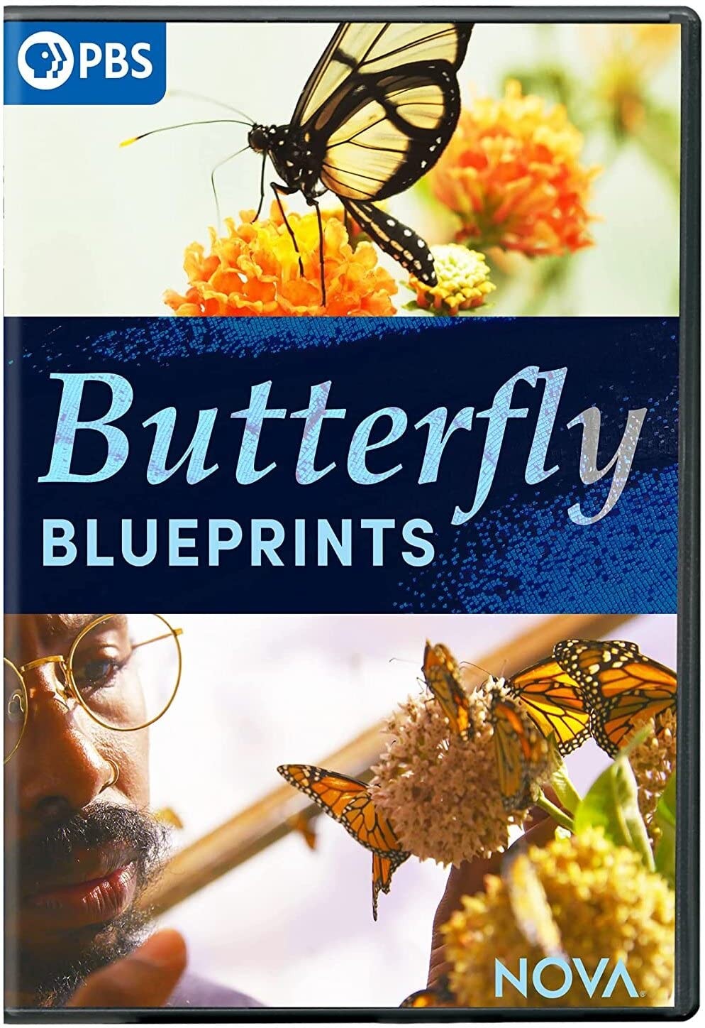 NOVA: Butterfly Blueprints (DVD)