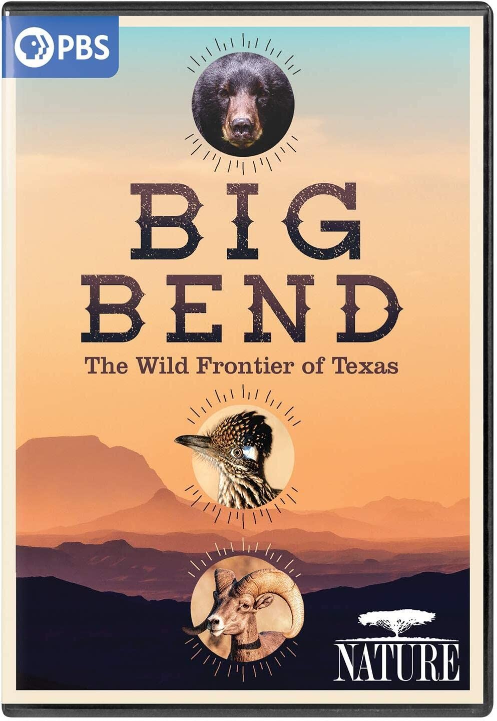 NATURE: Big Bend - The Wild Frontier of Texas DVD (DVD)