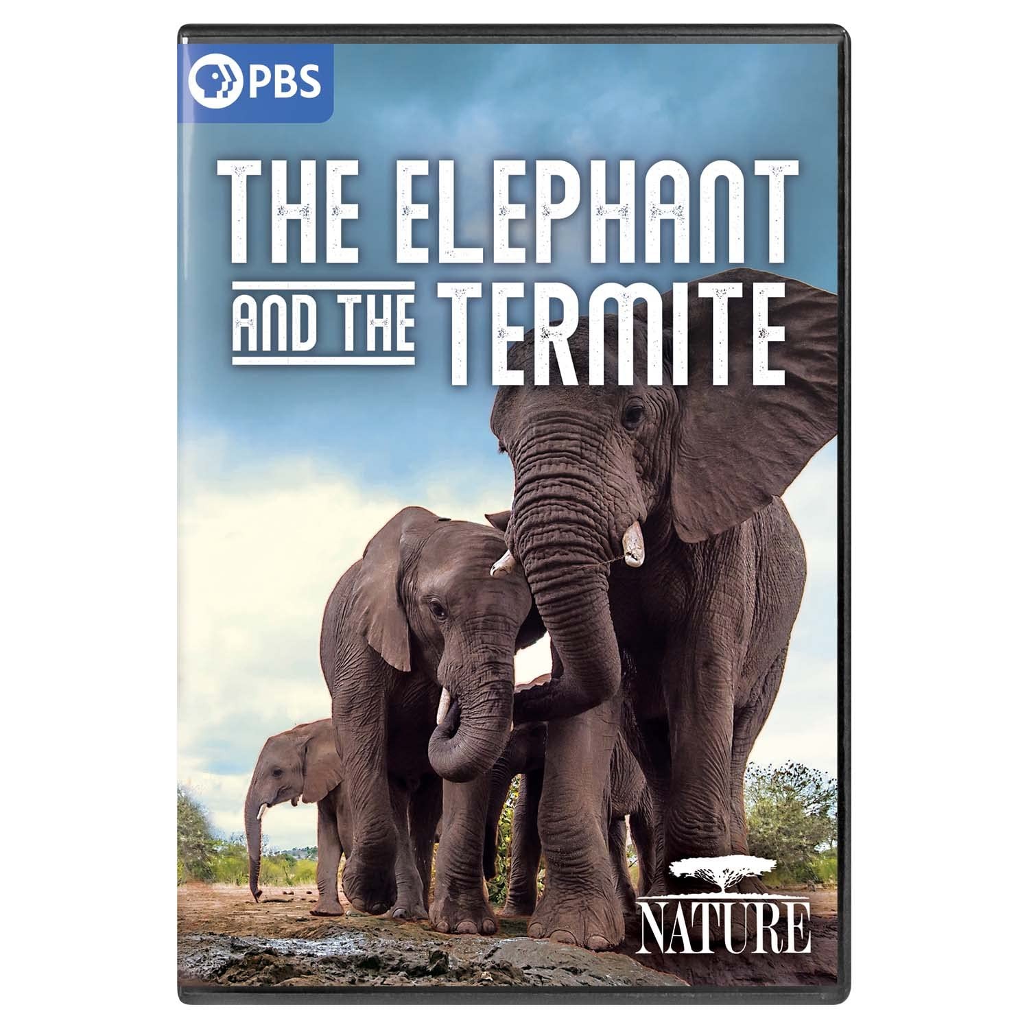 Nature: The Elephant and the Termite (DVD)