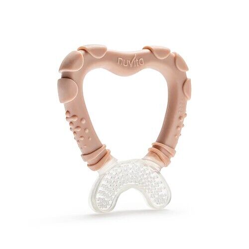 Massaggia gengive 4 mesi + ENGLISH ROSE 7006