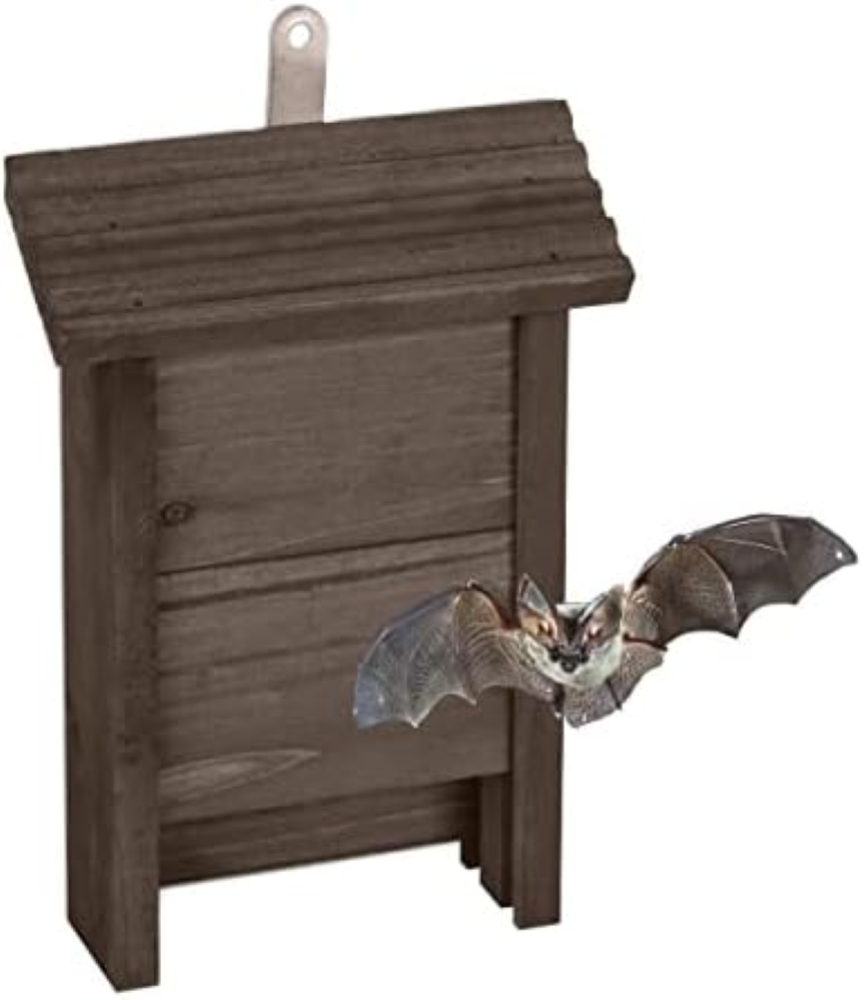 Relaxdays Rifugio per Pipistrelli, Nido Casetta per Pipistrellini, Bat Box, HLP: