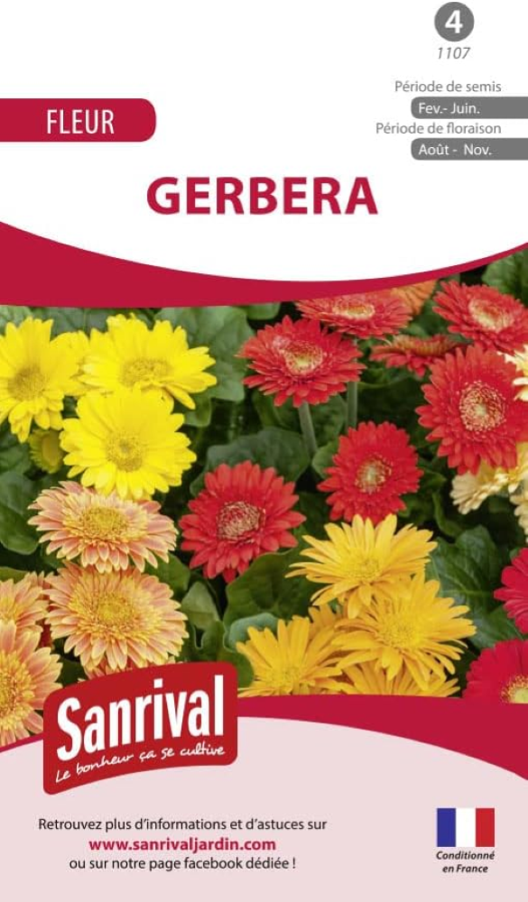 Gerbera miscela di Fiorista